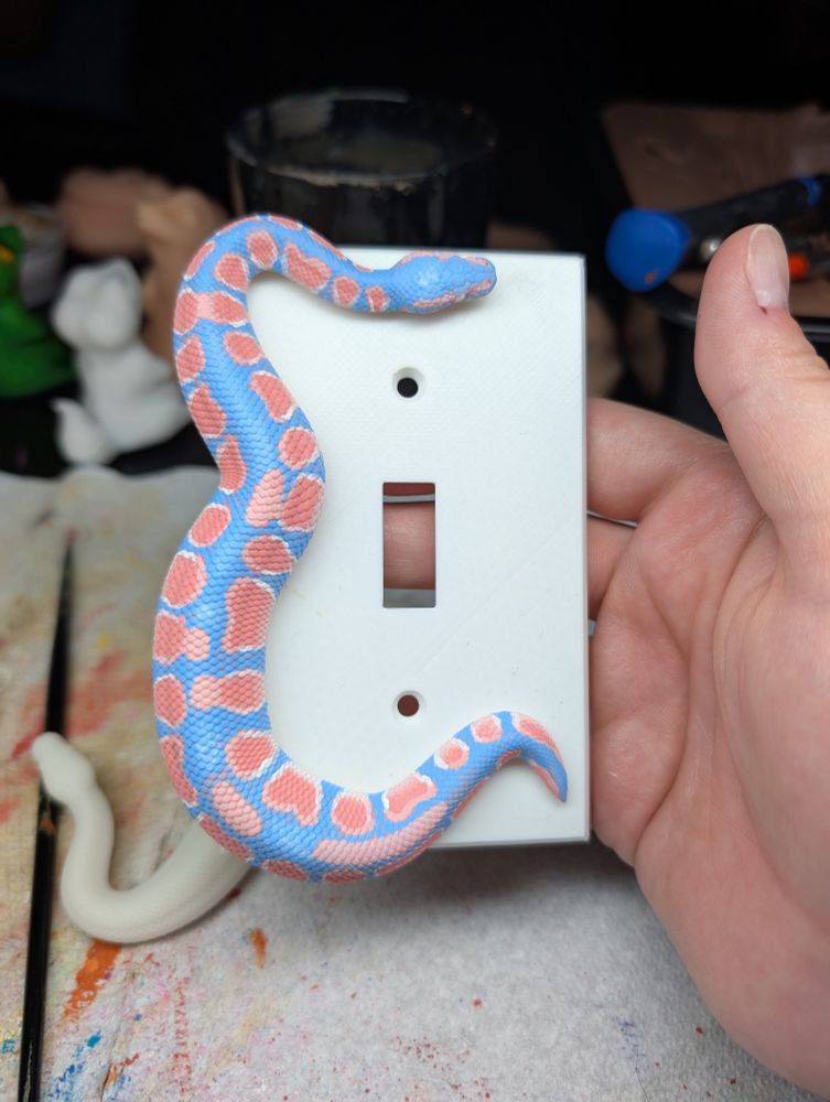 Trans flag themed snake on light switch cover.