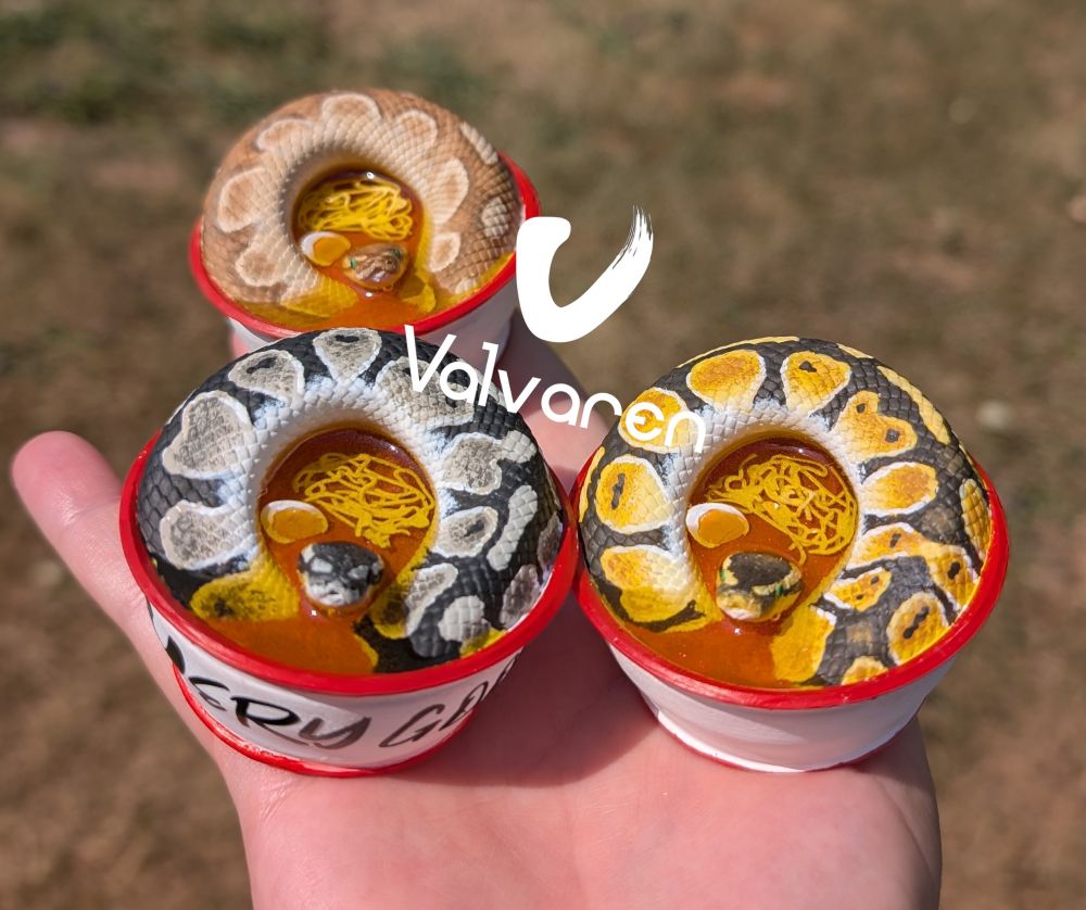 Ball python noodle bowls.