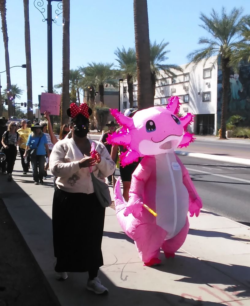 Someone in a human-size pink Axolotl costume marching at the No Kings Protest in Downtown Las Vegas, 10/18/25.  Palm trees, sun, placards and a yellow t-shirt in the background.  Love the outfit!