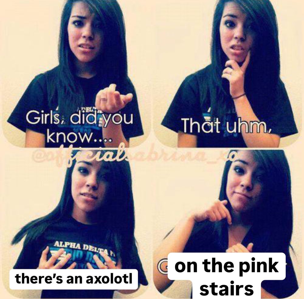 That 2012 four-panel meme of a girl saying “girls, did you know…” but edited to say “Girls, did you know… that uhm, there’s an axolotl on the pink stairs”