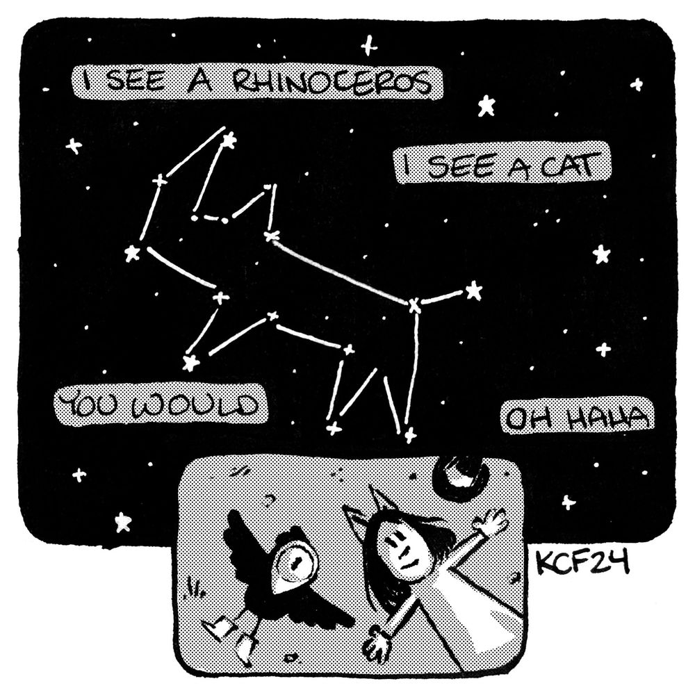 Ink comic panel of Witch and Crow stargazing. They discuss a constellation above. Crow "I see a rhinoceros" Witch "I see a cat" Crow "You would" Witch "Oh haha"
