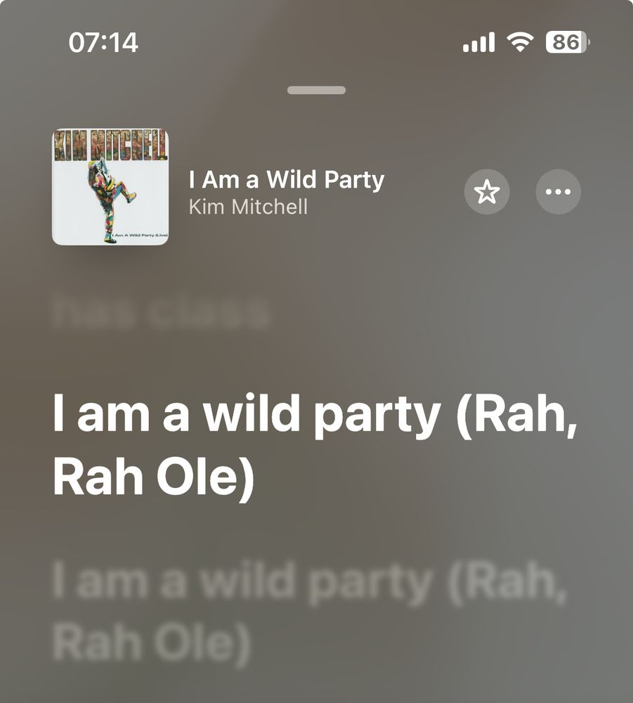 Screenshot of Kim Mitchell’s ‘I Am a Wild Party’ lyrics.