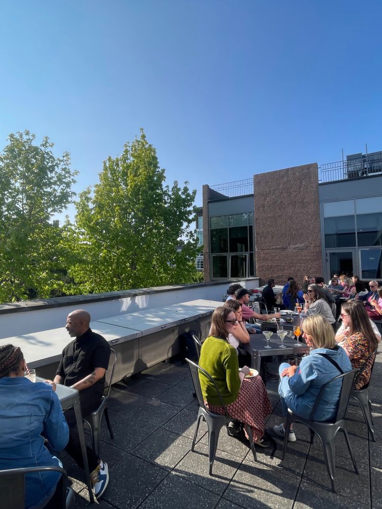 participants in the sunshine