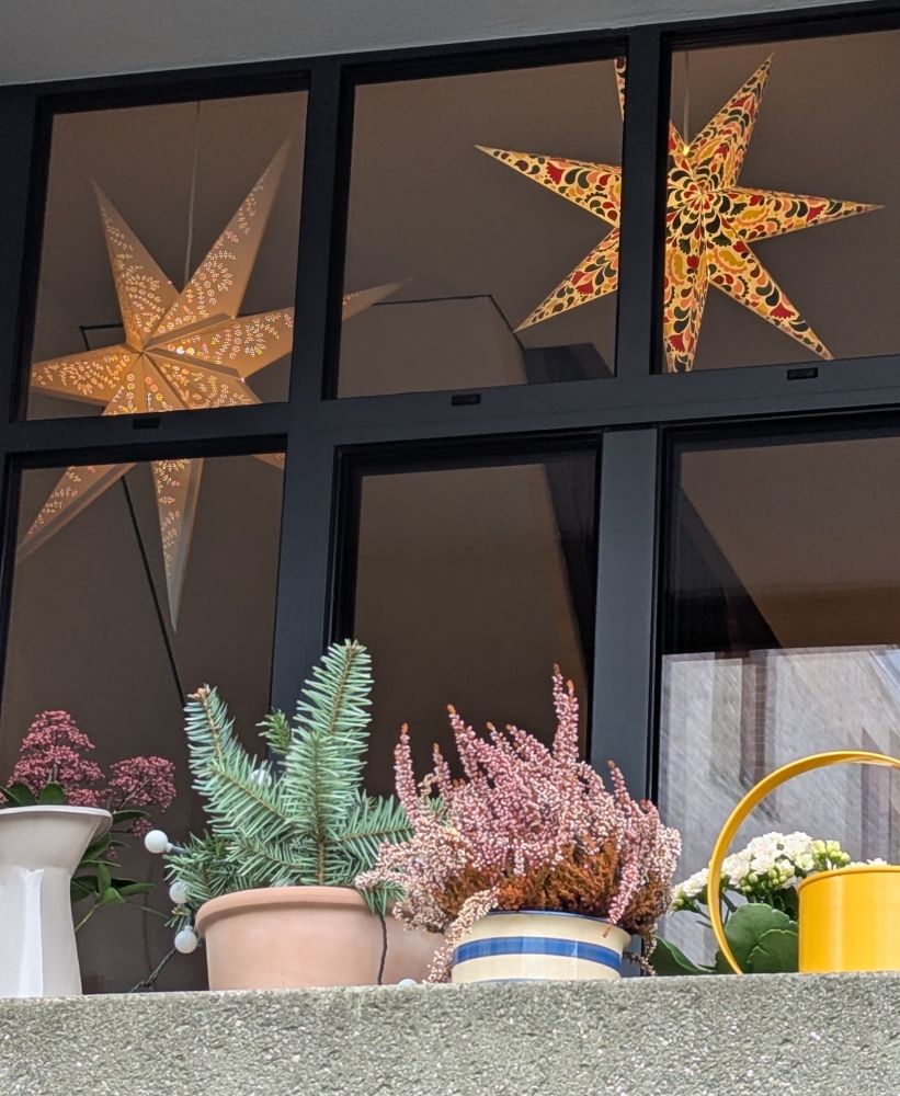 Fenster mit winterlichen Pflanzen in Töpfen davor und beleuchteten Weihnachts-Sternen dahinter