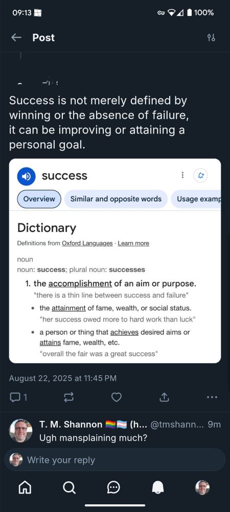 Screenshot of a person's reply to one of my posts mansplaining to me what success is using a screenshot from a dictionary app