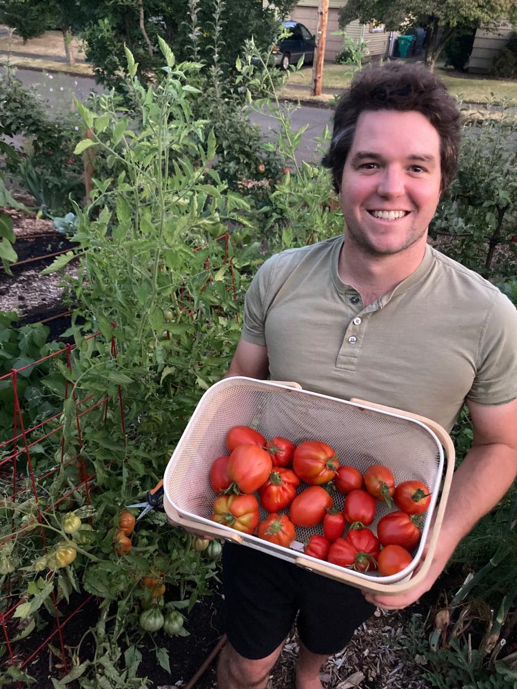 A man (me!) standing with a basket of tomatoes in a garden