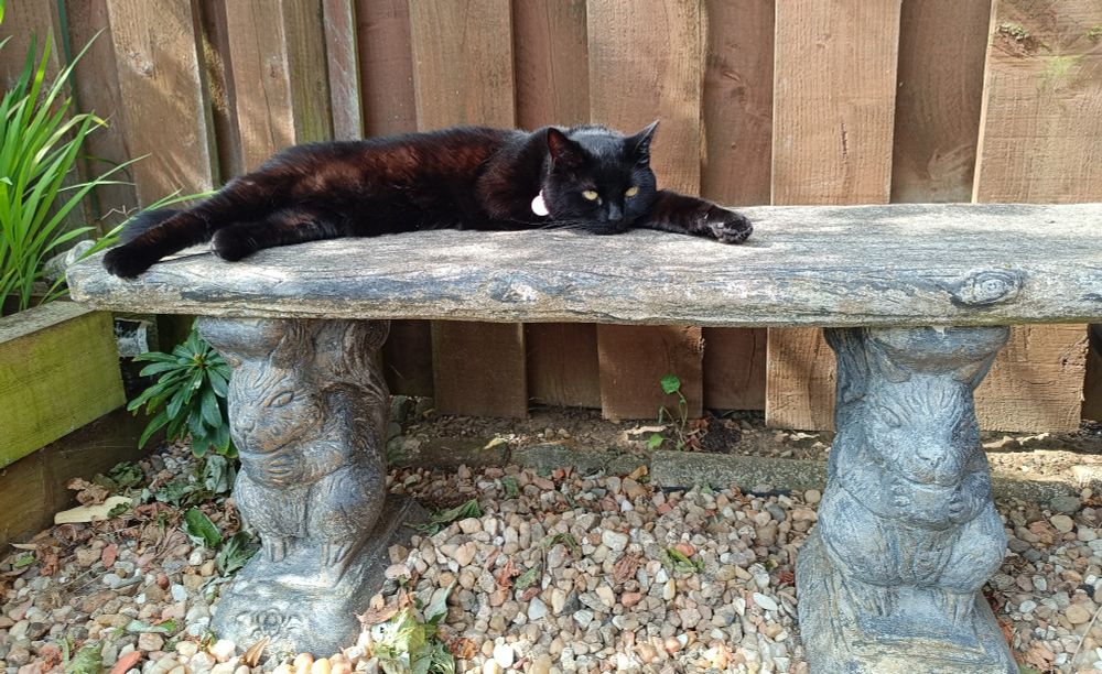 A black cat lies on a stone bench.