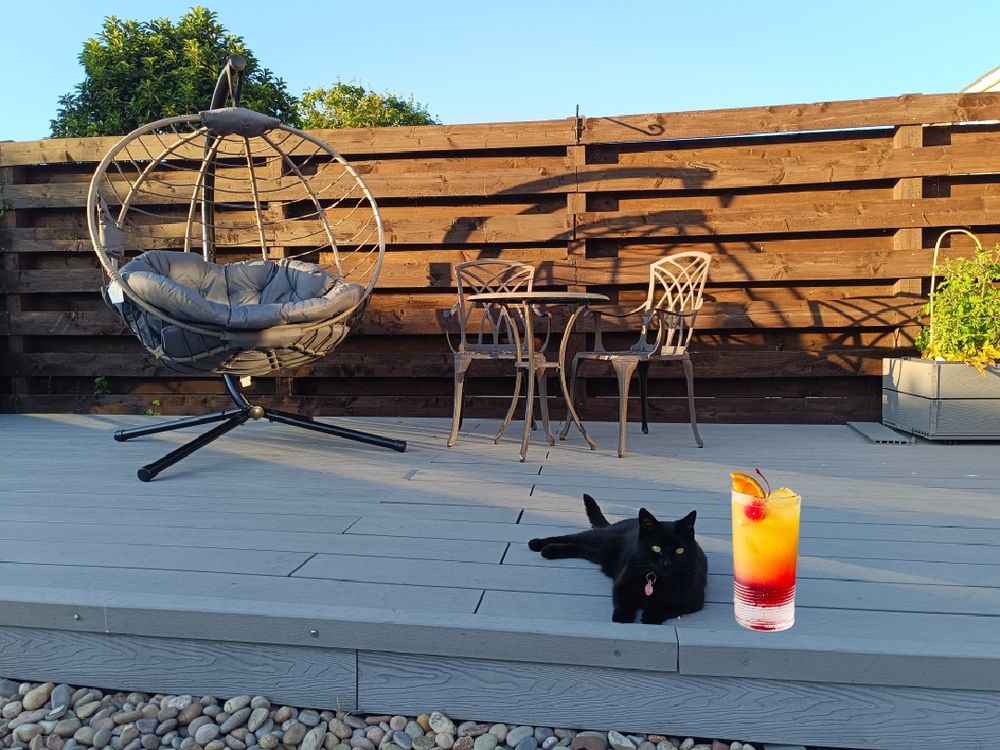 A black cat sits on her deck with a cocktail.