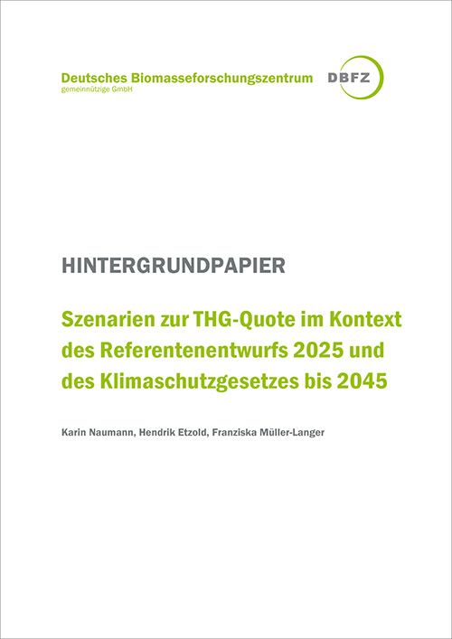Titelseite DBFZ-Hintergrundpapier