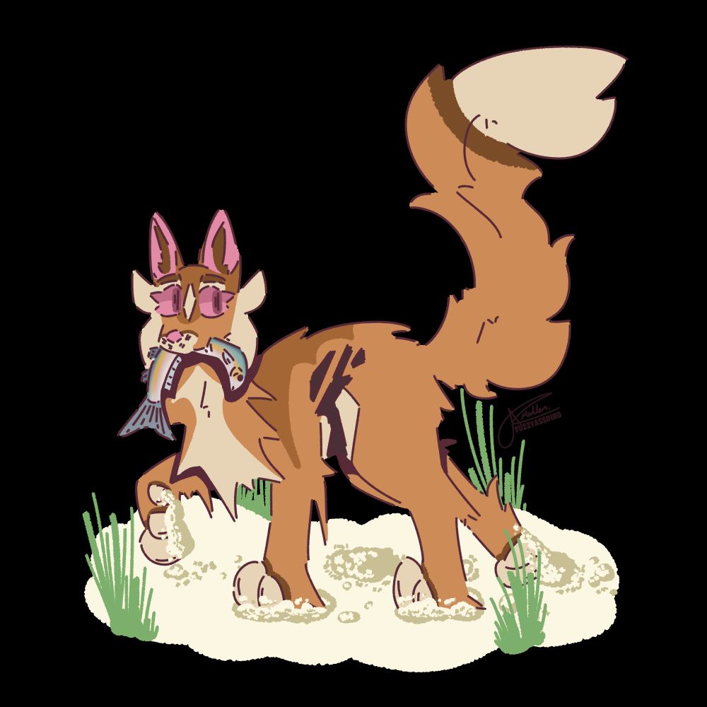 Sparkstar with a fish on the sandy beach of Ocean Clan.