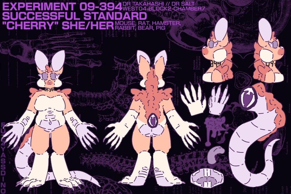 Redesign of Cherry, fursona, art drawing, reference sheet