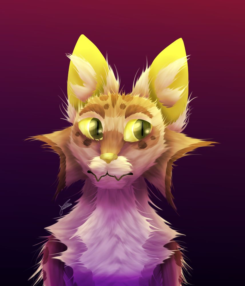 Cat drawing, art, warriors, realistic try, practice, oc.