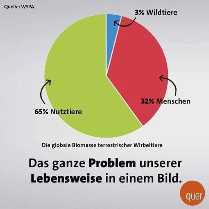 Das ganze Problem unserer Lebensweise in einem Bild: Verteilung Biomasse weltweit: Wildtiere 3%; Menschen 32%; Nutztiere 65%