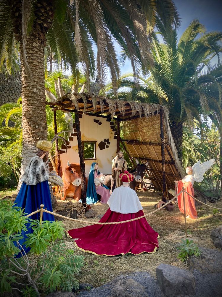 Das Foto zeigt eine weihnachtliche Krippenszene im Freien, umgeben von hohen Palmen und tropischer Vegetation. In der Mitte steht eine kleine, offene Hütte aus Holz und Stroh, in der Figuren von Maria, Josef und dem Jesuskind in der Krippe zu sehen sind. Davor stehen lebensgroße Figuren der Heiligen Drei Könige in farbenprächtigen, langen Gewändern – einer davon trägt ein rotes Samtkleid mit weißem Umhang. Rechts neben der Hütte steht eine Engelsfigur mit ausgebreiteten Flügeln. Die Szene ist mit einem Seil abgesperrt, und das Sonnenlicht fällt warm durch die Palmenblätter, was der Darstellung eine exotisch-orientalische Atmosphäre verleiht.