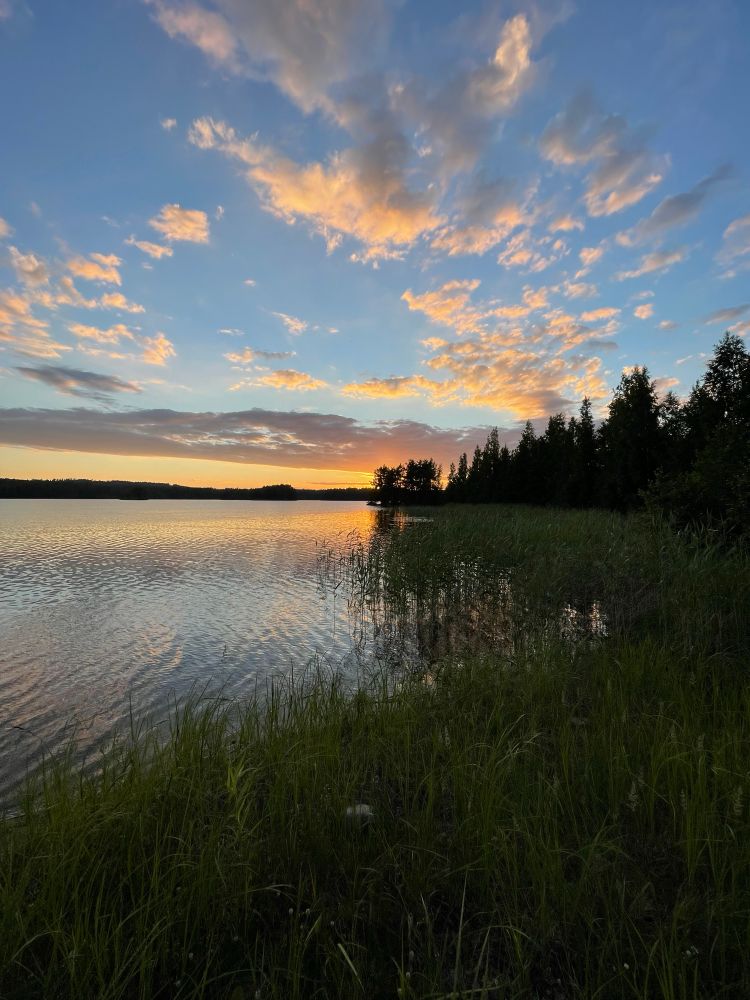 Das Foto zeigt eine ruhige finnische Seenlandschaft am frühen Morgen. Im Vordergrund wächst hohes Gras am Ufer, das sanft ins Wasser übergeht. Der See liegt still und spiegelt das Licht des Himmels. Am Horizont erheben sich dunkle Silhouetten dichter Wälder. Der Himmel ist von weichen Wolken durchzogen, die in warmen Farben von Orange, Gelb und Rosa leuchten, während die Sonne hinter den Bäumen aufgeht. Die Szene vermittelt Stille, Weite und den Beginn eines neuen Tages.