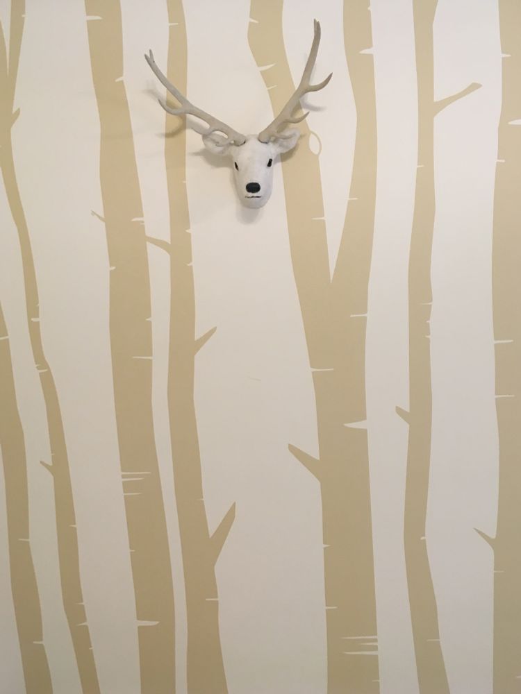 Tapete in beige mit Baumstämmen (auch in beige), dazwischen ein kleiner, weißer Hirschkopf mit kurzem Geweih. 