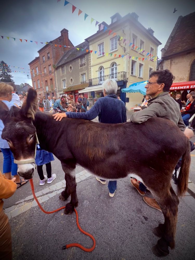 Auf einem Dorffest in einem kleinen Dorf in der Bretagne. Zwei Männer stützen sich auf einen braunen Esel (im Vordergrund des Bildes). 
