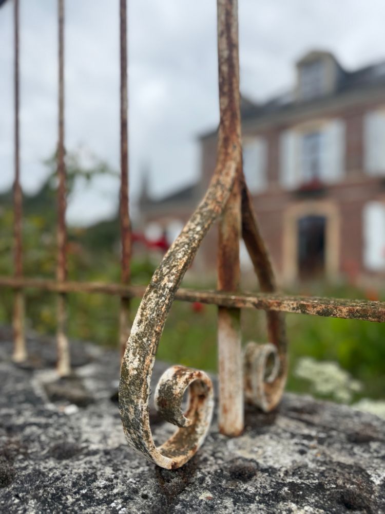Fokus auf einen rostigen Zaun, im Hintergrund grüner Garten und braunes Haus.