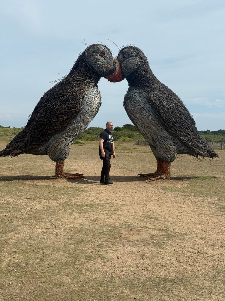 Zwei Puffins als große Skulpturen auf der Kanalinsel Jersey. Dazwischen ein Mann.  