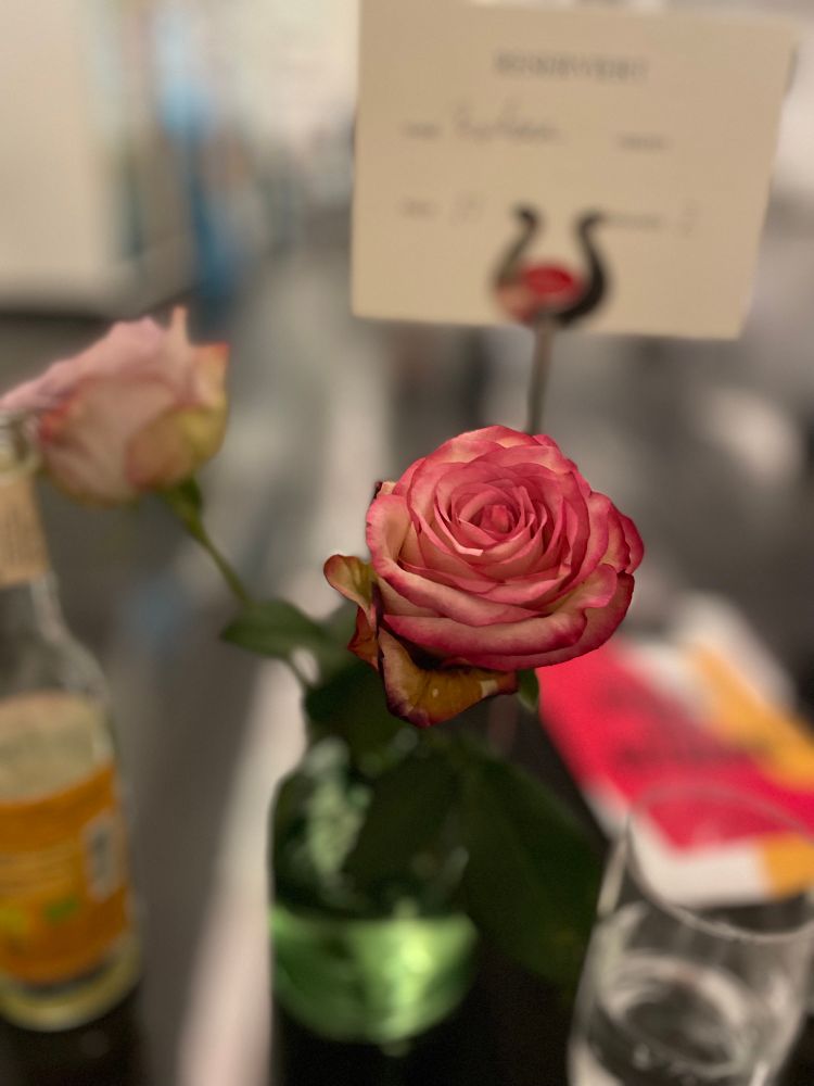 Pinke Rose, Vase, im Hintergrund Reservierungskarte der Oper Köln