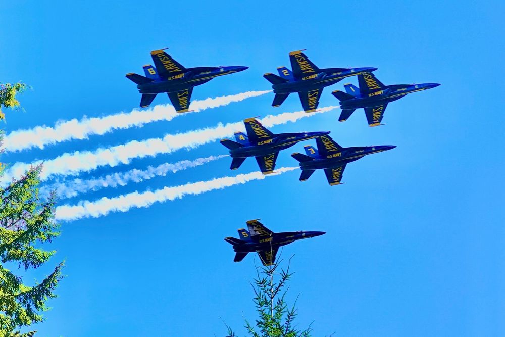 Six blue Navy Jets with yellow markings flying in formation, white slipstreams trail the 4 lead jets.  The 2 evergreen trees in the foreground are in my garden.
(Sony RX10 IV) 