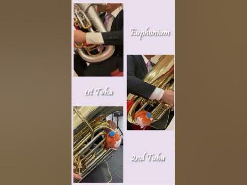 【近江彼方】Butterfly（Euph,Tuba2 Bari-Tu Trio）【 #浦の星吹奏楽部 】