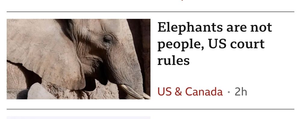 Screenshot of BBC article titled: "Elephants are not people, US court rules"