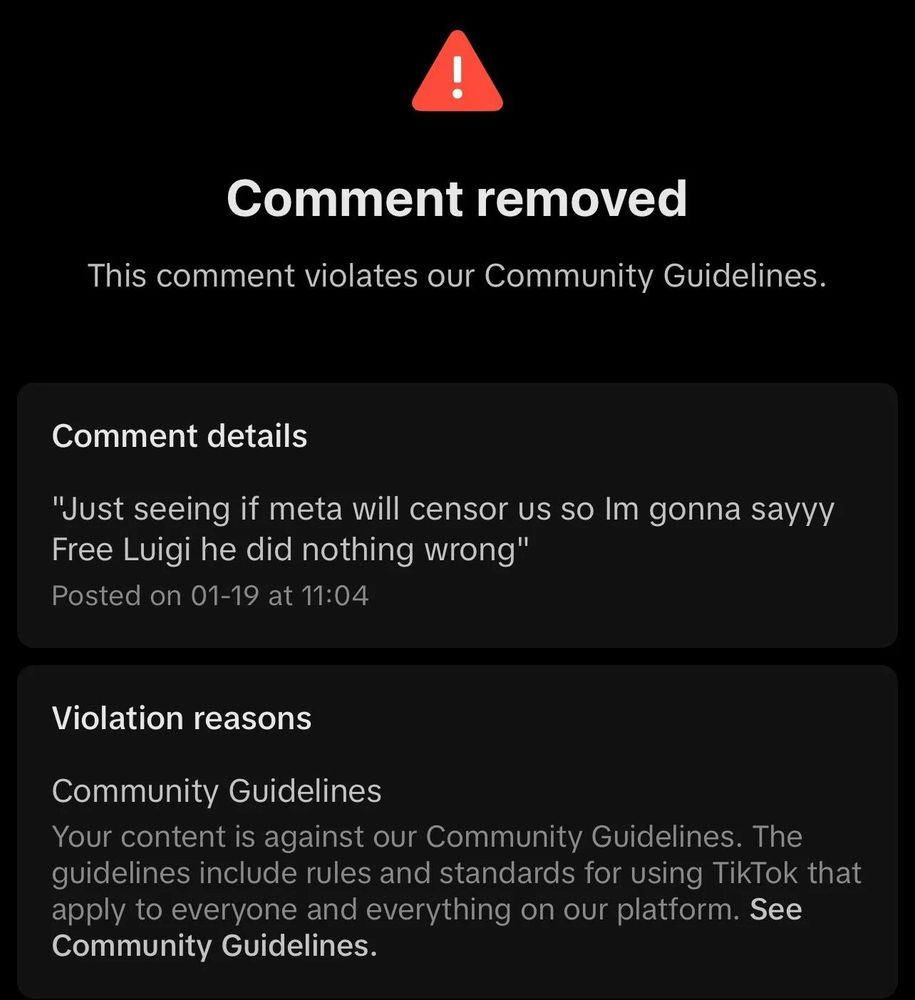 A screenshot of the new tiktok removing a "free Luigi" comment