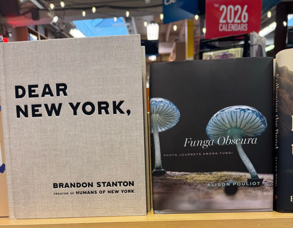two displayed books, “Dear New York’” by Brandon Stanton and “Funga Obscura” by Alison Pouliot