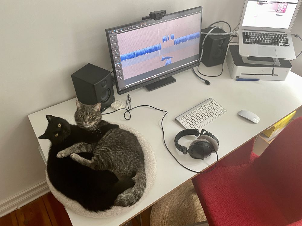 Cats distracting podcast production…by cuddling on work desk.