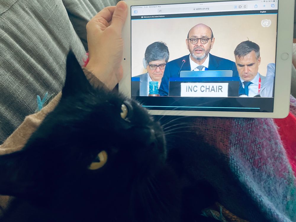 My black cat Pepe sitting on a blanket on my lap while we watch the opening of the INC on an ipad. 