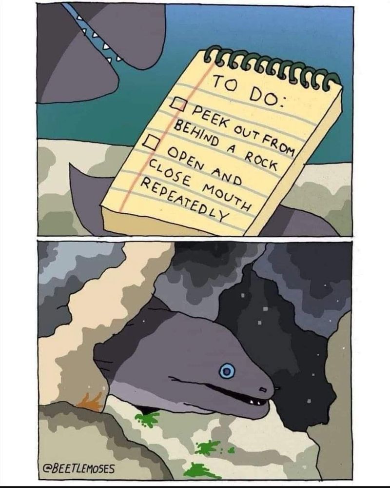 An eel with a checklist:

TO DO:
1. I PEEK OUT FROM BEHIND A ROCK
2. OPEN AND CLOSE MOUTH
REPEATEDLY