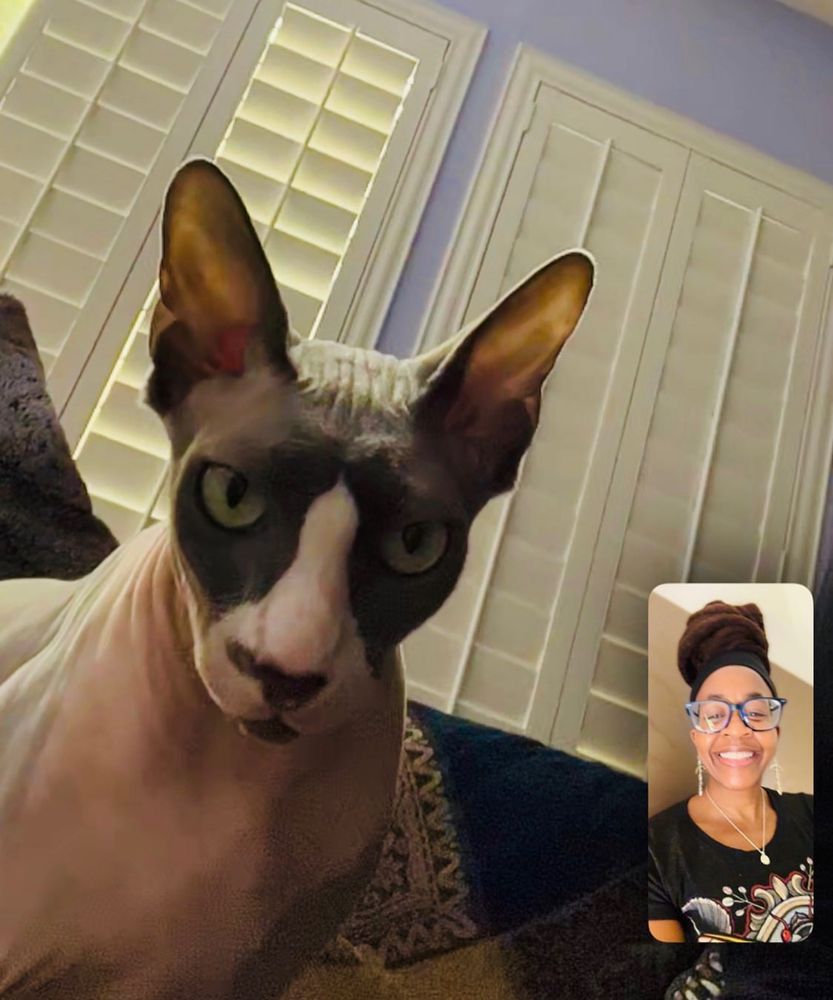 Nnedi FaceTiming with a surly-looking Neptune the Space Cat.