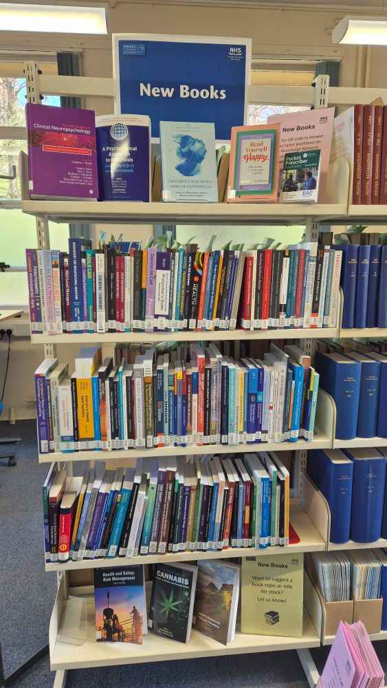 Lots of new library books arranged on a shelving unit
