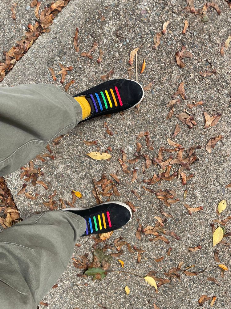 Two legs from the shin down. Person is wearing army green pants and black shoes with rainbow laces. The left foot has a yellow sock showing. Person is standing on concrete with brown and yellow leaves scattered about. 