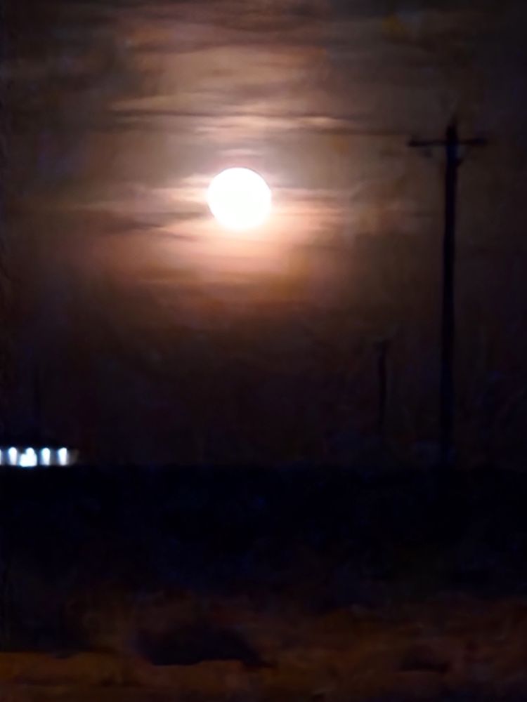 A drive in the desolate space..  sublime & peaceful.. .. yet solitude can swallow your mind and darken the soul 
🩷💜🖤🩶🤍