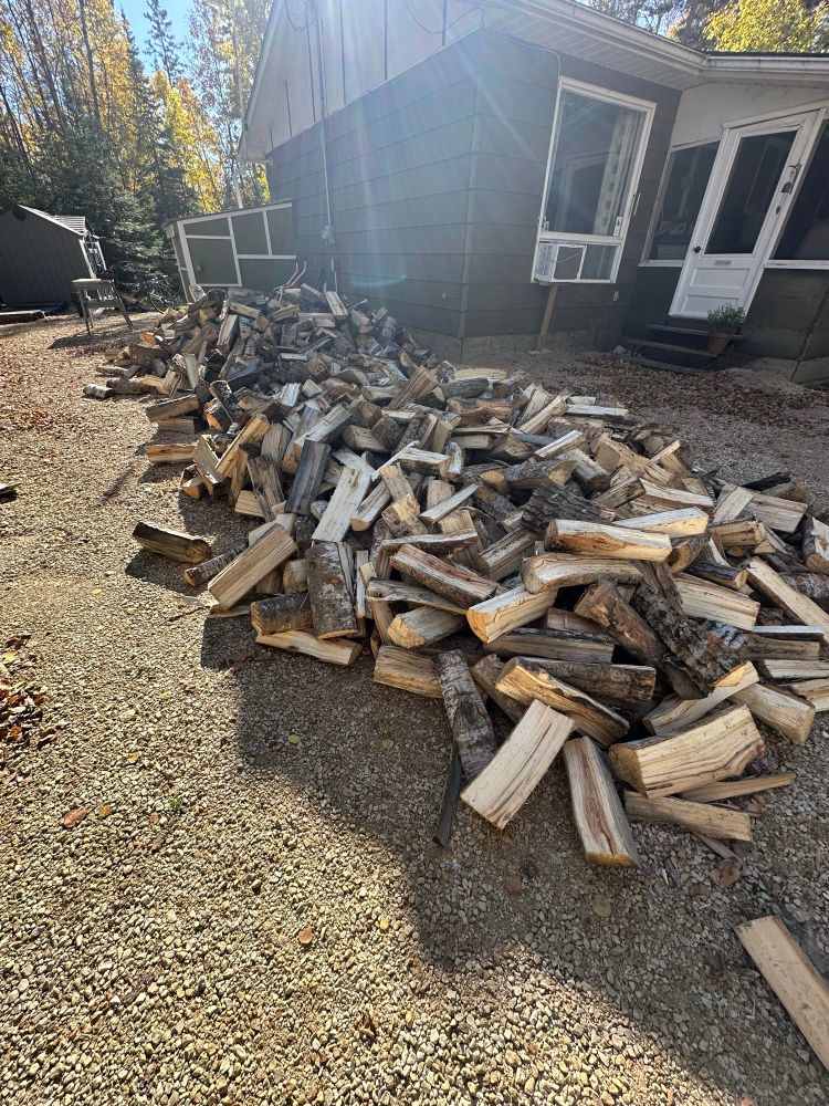 A very large pile of split firewood, lying on a gravel driveway in the sun in front of a green and white cottage