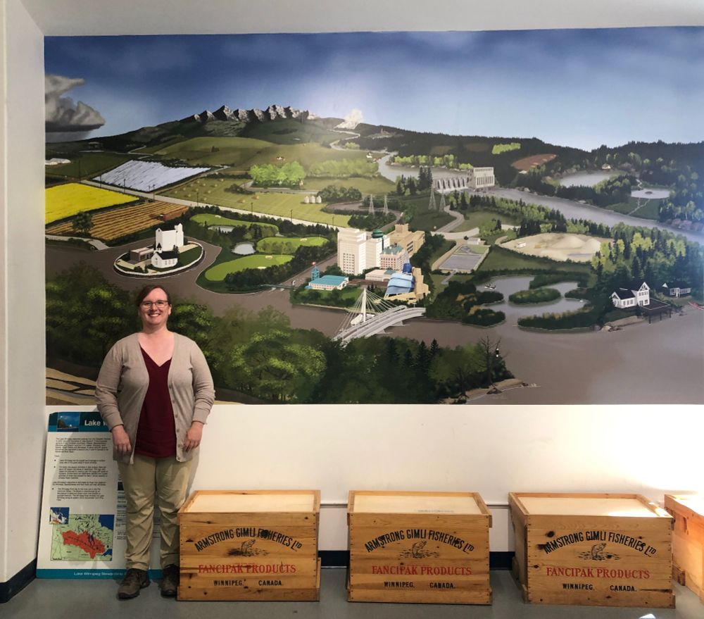 A woman stands in front of a mural depicting the different factors affecting the health of the Lake Winnipeg watershed. It's a huge overhead view showing the watershed from where it starts in the Rockies to the lake. In between there are rivers flowing through different landscapes - farmland, crops, cities, hydro dams. They flow past golf courses, mines, forestry, marshes, cottages and septic fields.