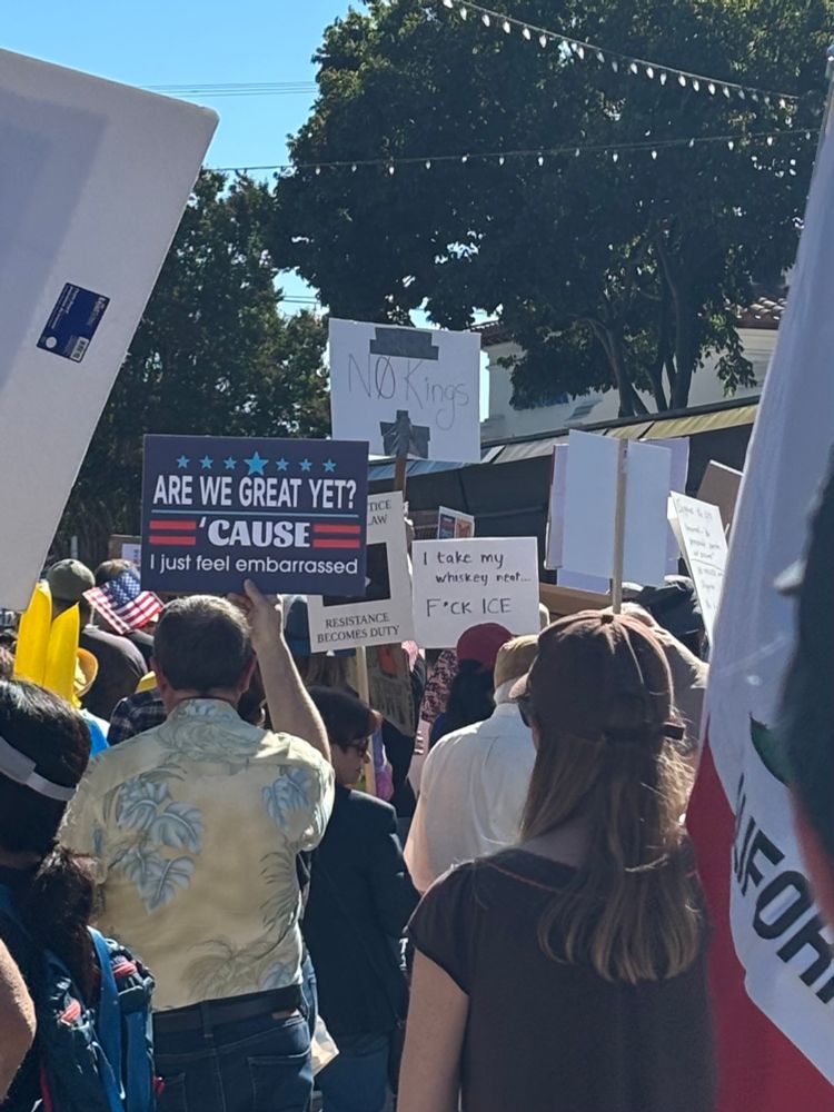 Signs at a No Kings protest. One reads, “Are we great yet? ‘Cause I just feel embarrassed” and another reads “I take my whiskey neat…F*CK ICE