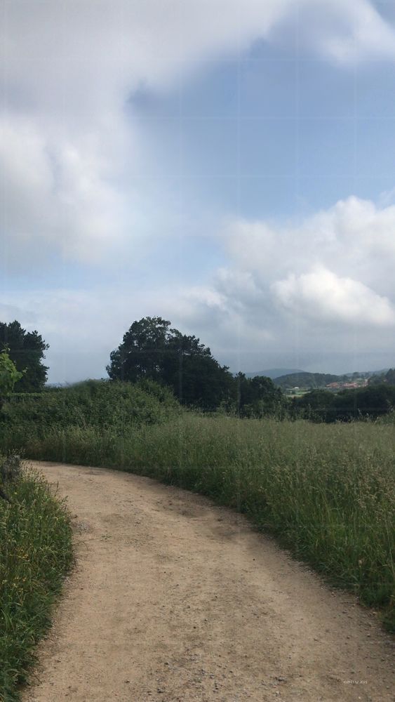 A sandy path curves gently through tall grass, beneath soft clouds and a pale blue sky - the soft way forward.