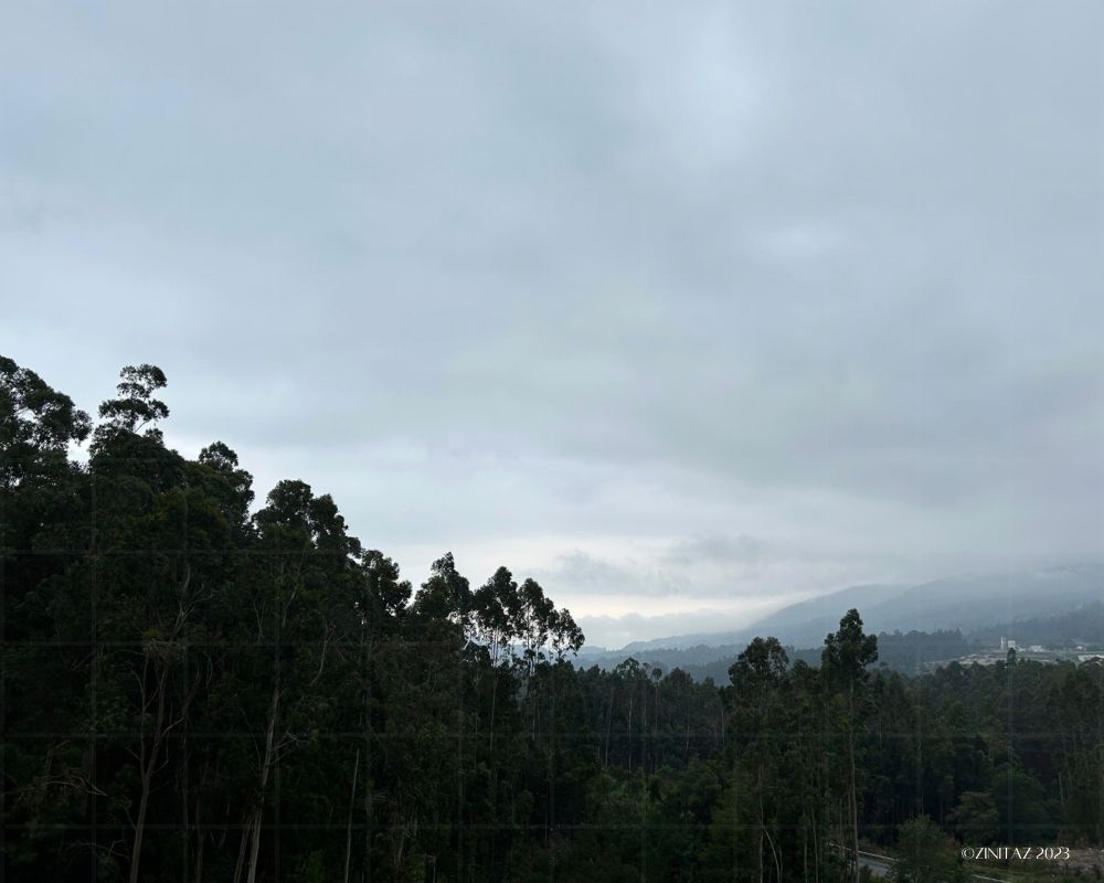 Dark trees line the hillside, fading into soft blue ridges beneath a quiet blue-grey sky - evening leans in gently.