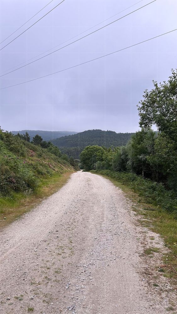 A sandy path rises gently through green trees, with soft blue hills beyond and a quiet, violet-tinted sky overhead - almost there, entirely here.