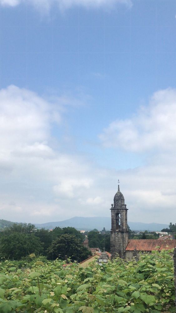 A vineyard stretches toward a distant church tower and soft blue hills, wrapped in stillness.