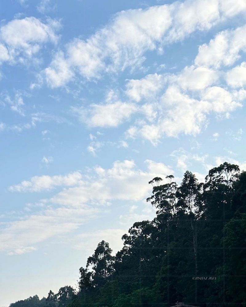 Golden clouds drift across a soft blue sky, as quiet trees mark the beginning of the final stretch.