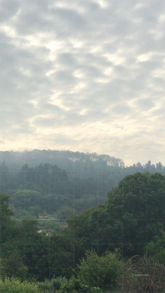 Soft green hills and patchwork sky glow with quiet warmth - light woven with joy.