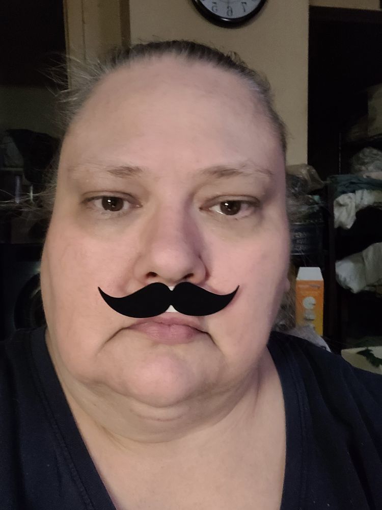 Selfie. Me, a chubby white person, with hair pulled back, with a black moustache cutout stuck below my nose. I look tired. But snazzy!