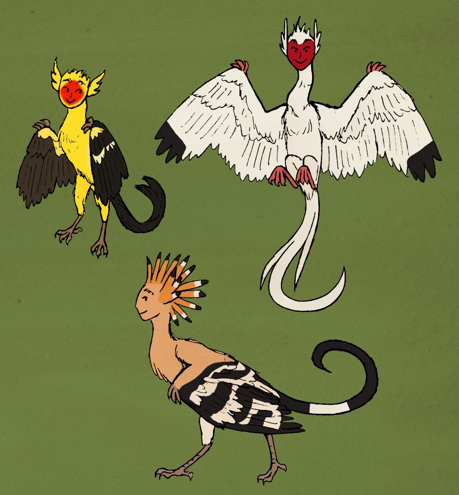 Drawing of three harpies. They are mostly bird-shaped, or sort of archaeopteryx-shaped with longish legs and claws on the wings. They all have curly tails and smiling, human-like faces with fuzzy feather eyebrows. One is smaller with a forked tail and color pattern of a male western tanager. Another is jumping or flying and has a long neck and the color pattern of a white ibis. The third is walking and has a tall crest and color pattern of a hoopoe.