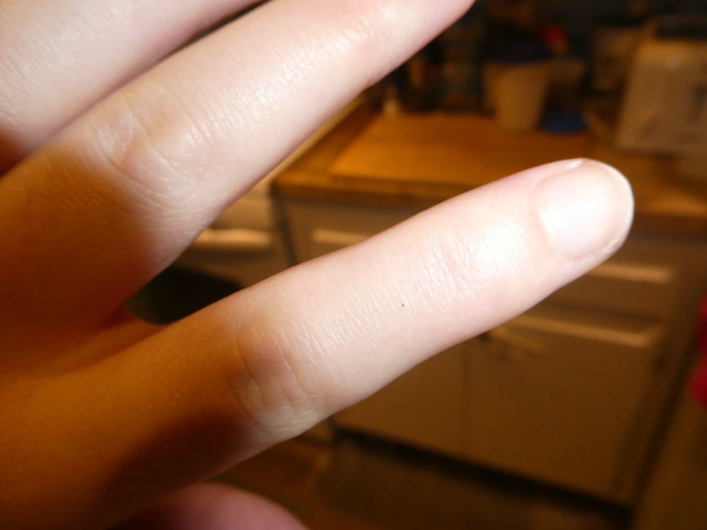 Extremely tiny wasp on a person's finger. It looks like a tiny speck of dirt.