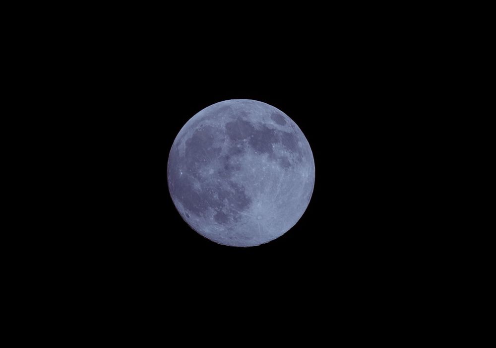 The full moon; photo taken on Nov. 4. 