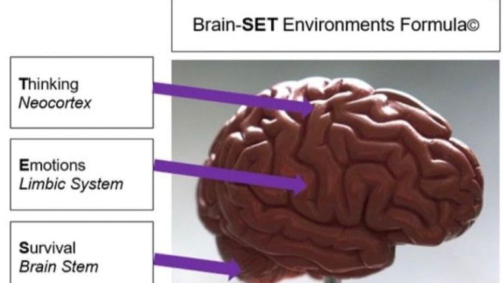 The Importance of the Learning Environment – why getting it right matters